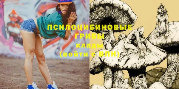 бутират Арсеньев