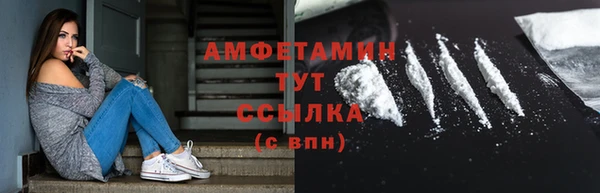 крисы Армянск