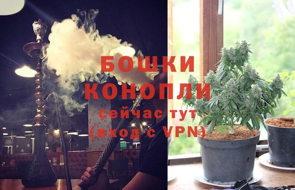 амф Аркадак
