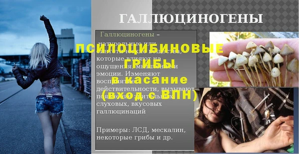 амф Аркадак