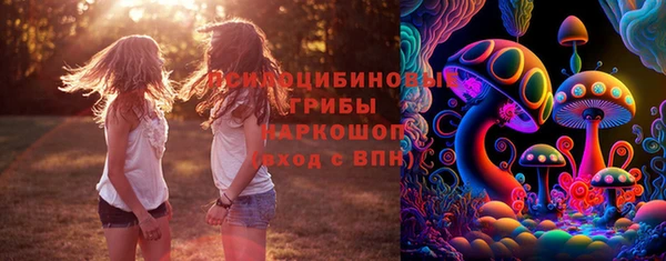 крисы Армянск
