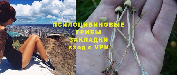 амф Аркадак