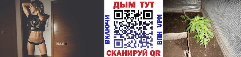 blacksprut сайт  закладки  маркетплейс клад  Каннабис SATIVA & INDICA  Валдай 